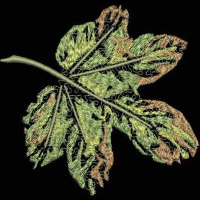 An embroidery design of a detailed green leaf with intricate stitching that highlights its veins and natural variations.