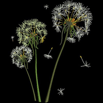 An embroidery design of three dandelion flower heads with delicate seeds drifting away.