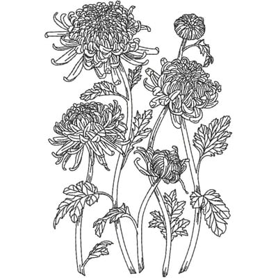 An embroidery design of intricately detailed chrysanthemums with varying sizes and delicate leaves.