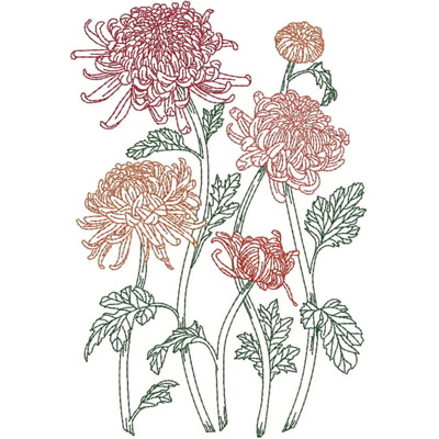 An embroidery design of vibrant chrysanthemums in various colors, featuring intricate petals and lush green leaves.