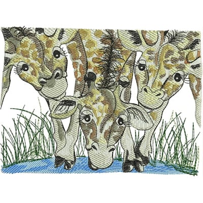 An embroidery design of four playful giraffes curiously leaning towards a water source, showcasing their distinctive patterns and expressive faces.