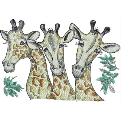 An embroidery design of three playful giraffe heads adorned with patches of brown and cream, accompanied by green leaves.