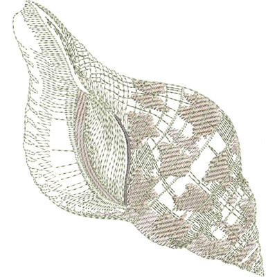 An embroidery design of a detailed seashell featuring fine line work and subtle shading.