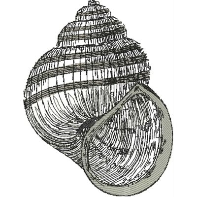 An embroidery design of a detailed seashell, showcasing intricate lines and curves.