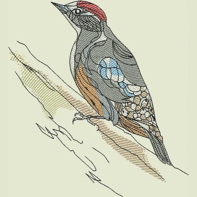 An embroidery design of a colorful bird perched on a branch, showcasing intricate details in its feathers and distinct coloration.