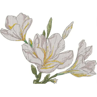 An embroidery design of delicate white flowers with subtle yellow accents and green leaves.