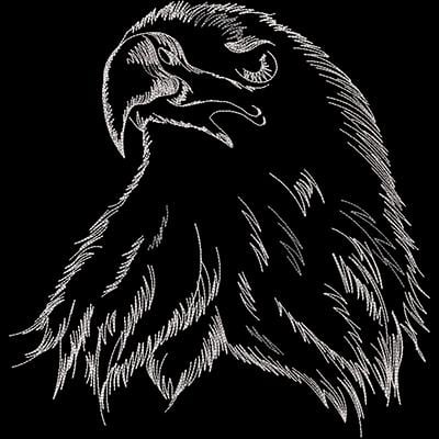 An embroidery design of a detailed and striking eagle's head, showcasing its fierce expression and intricate feathering.