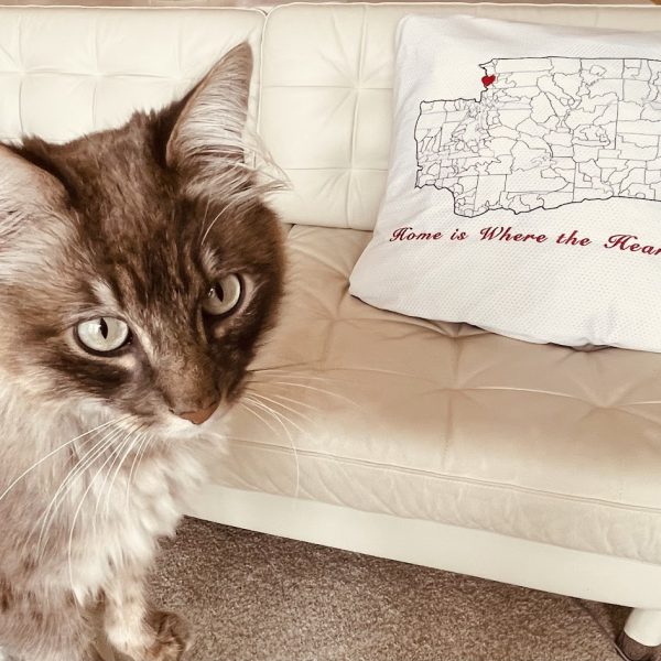 An embroidery design of a state map with a red heart marking a location, accompanied by the phrase "Home is Where the Heart is."
